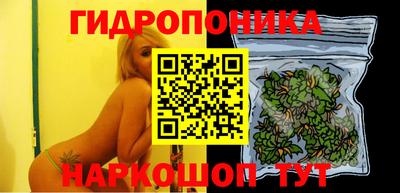 амф Берёзовский