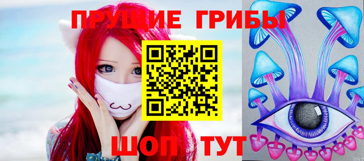 Галлюциногенные грибы прущие грибы  Псилоцибиновые грибы Psilocybe  цена   Кировск  Вход с VPN 
